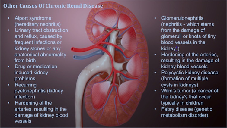 what causes kidney disease