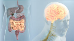 Is Your Digestive System Making You Mentally Sick?