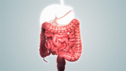 diarrhea