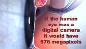 If a human eye was a digital camera