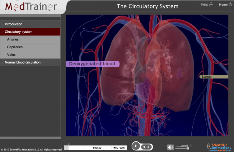 medtrainer-3d-lung-anatomy-training-module
