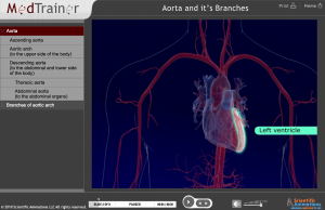 medtrainer-heart-anatomy-training