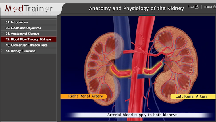 Kidney - Scientific Animations Kidney - Scientific Animations