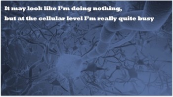 At cellular level, I am really quite busy