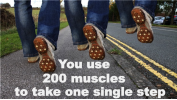 You use 200 muscles to take single step