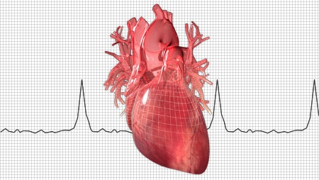 Heart rate slower than 60 BPM(Beats Per Minute) in adults is called??