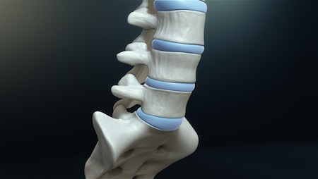 Intervertebral disc is an example of what type of Joint?
