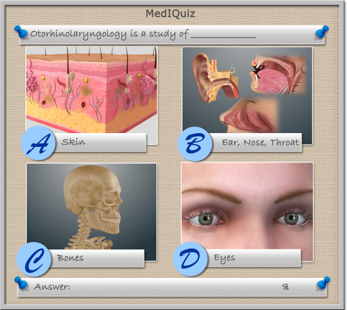 Study of which part of the human body in called Otorhinolaryngology?