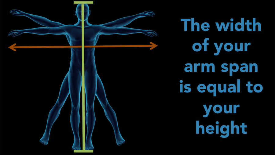 The width of your arms pan is equal to your height