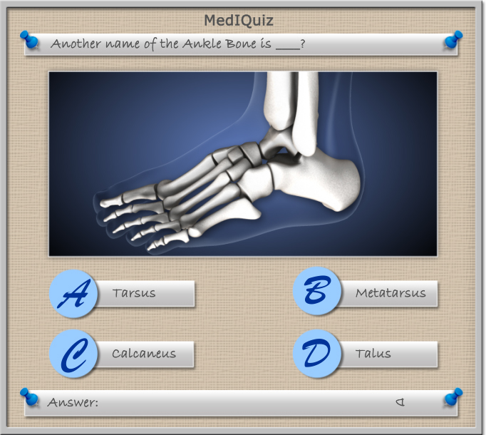 MedIQuiz - What is the other name for ankle bone?