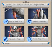 MedIQuiz - Which of the following vessels does NOT carry blood back to the heart?
