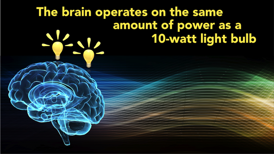 Can Brain Power a Light Bulb-DYK7-S - Scientific Animations