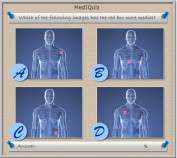 Which of the following images has the red box more medial?