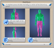 A sagittal plane divides the body in which of the following parts