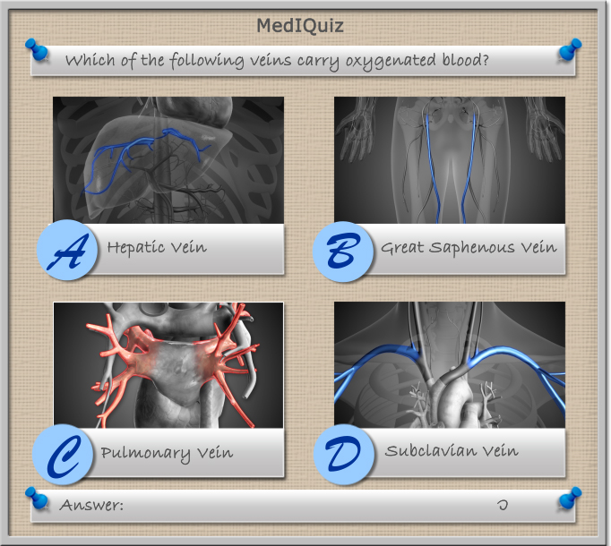 Which of the following veins carry oxygenated blood?