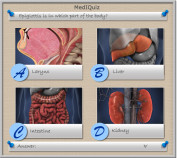 MedIQuiz - Epiglottis is in which part of the body?