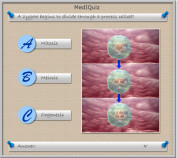 MedIQuiz - What is the zygote division process called?