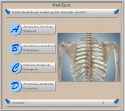 MedIQuiz - What bones make up the shoulder girdle?