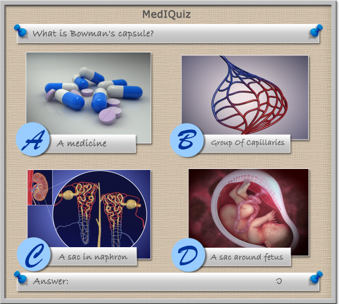 MedIQuiz - What is Bowman's Capsule?