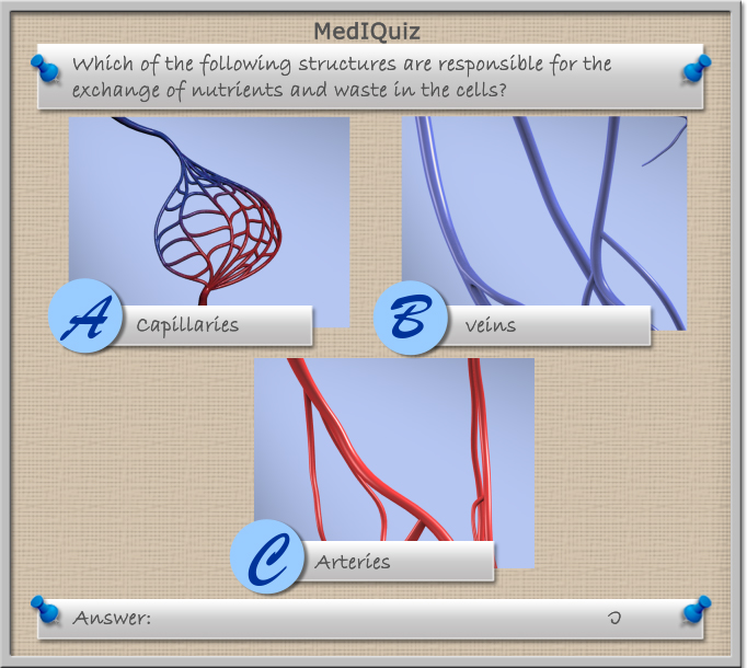 MedIQUiz - Which structure is responsible for exchange of nutrients and waste in the cells?