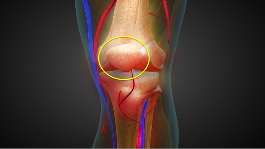 Structure of the Knee