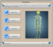 MedIQuiz -Nerves carrying info to brain?