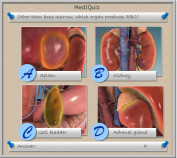 MedIQuiz - Other than bone marrow, which organ produces RBC's?