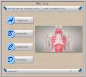 MedIQuiz - Which muscles are mainly used in respiration?