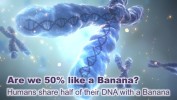 50% human dna same as banana-DYK22
