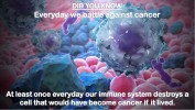 Everyday we battle against cancer-DYK25