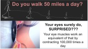 Eyes exercise equivalent to 50 miles walk