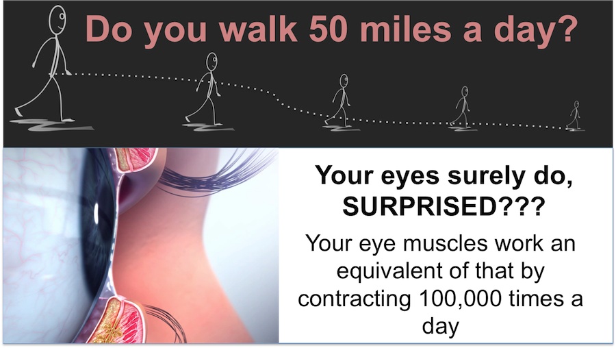Eyes exercise equivalent to 50 miles walk