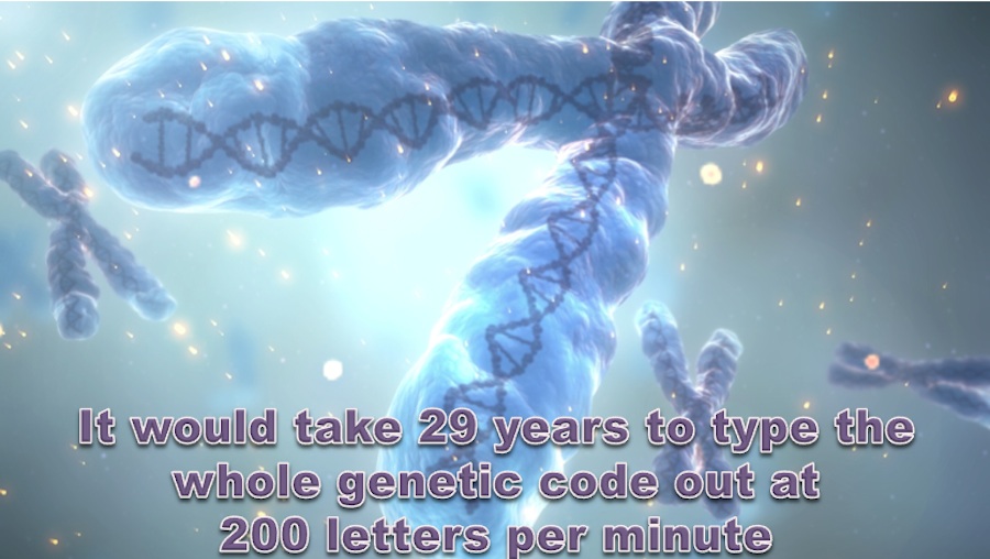 Typing the genetic code-DYK31