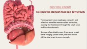 Can stomach defy gravity-DYK28