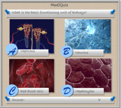 Basic functioning unit of kidneys-MedIQuiz-88