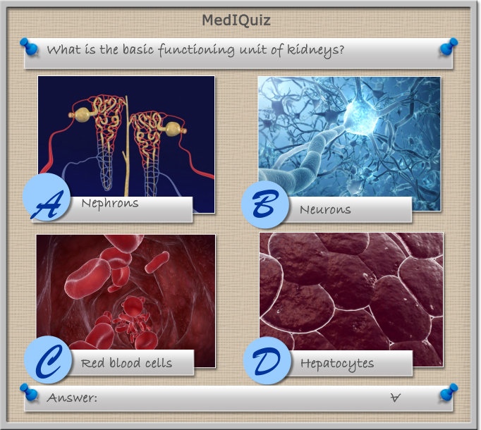 What is the basic functioning unit of kidneys? - MedIQuiz