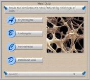 MediQuiz - Cells manufacturing bones and cartilage?