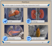 Which organ in the human body can regenerate itself? - MedIquiz