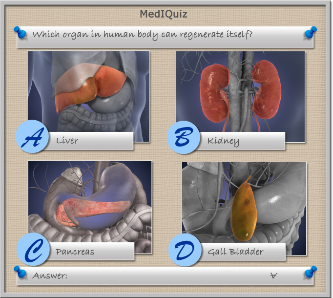 Which organ in the human body can regenerate itself? - MedIquiz