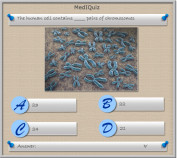 How many pair of chromosomes does a human cell have? - MedIQuiz