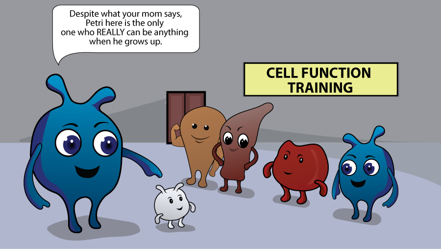 Cell Function Training - Medhumor