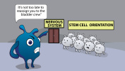 Stem cell Orientation-Medhumor22