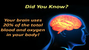 What percentage of blood and oxygen is used by the brain? - DYK37