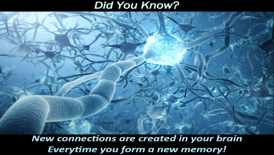 New Memory, New Brain Connections - DYK36