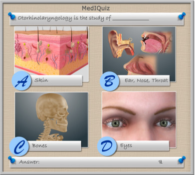 Ortorhinolaryngology is the study of - MedIQuiz95