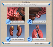 Smallest gland in the human body - MedIQuiz97