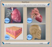 Stratum Corneum layer - MedIQuiz96