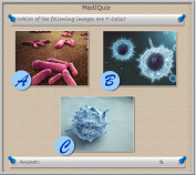 Which are T-cells - MedIQuiz98