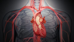 Transcatheter Heart Valves: How they revolutionized heart surgeries