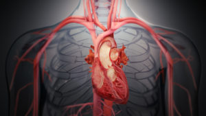 Transcatheter Heart Valves Surgery - Medical Animations
